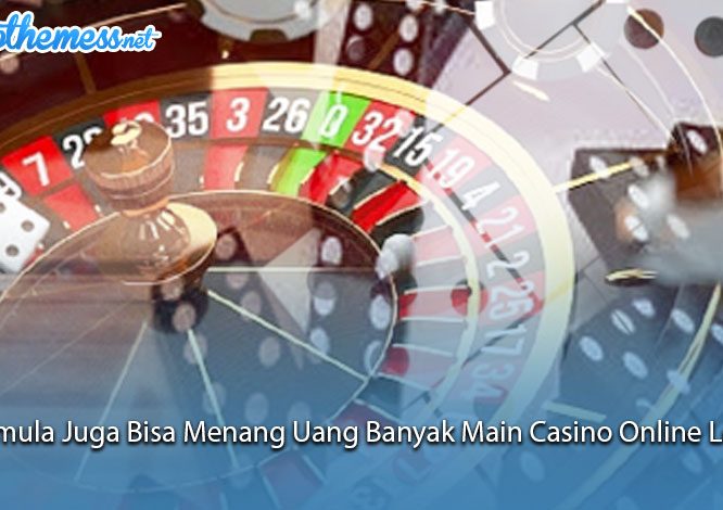 Casino Online Pemula Juga Bisa Menang Uang Banyak Loh - WpThemess